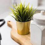 Apartamento Debambu
